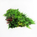 Новое поколение съемных зелени искусственный вертикальный сад для продажи